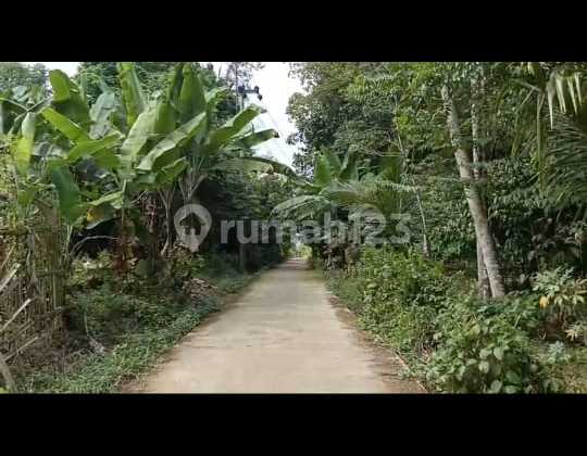 Cheap Sale of Fertile Land in Serang Banten Land