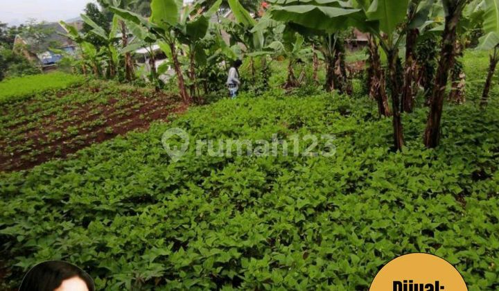 For Sale: Land or Plot of 1010m² in Cipageran, Cimahi For Sale: Land or Plot of 1010m² in Cipageran, Cimahi