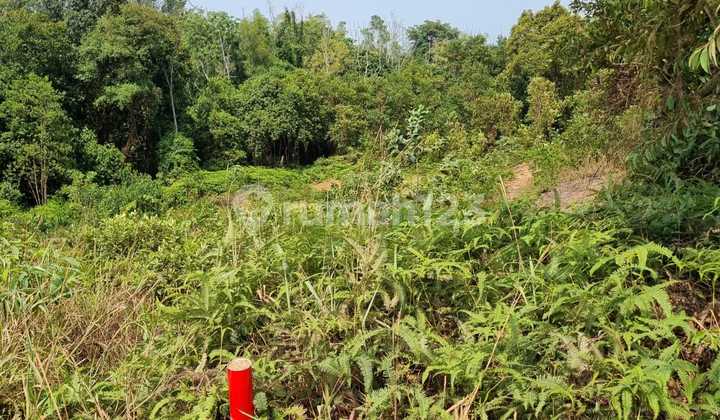 Dijual Kavling Peruntukan Perumahan Di Sekupang Tanjung Pinggir...