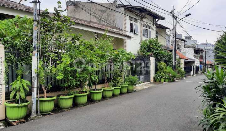 Rumah Murah Di Jl. Merpati Tebet Menteng Dalam Cash Only 2