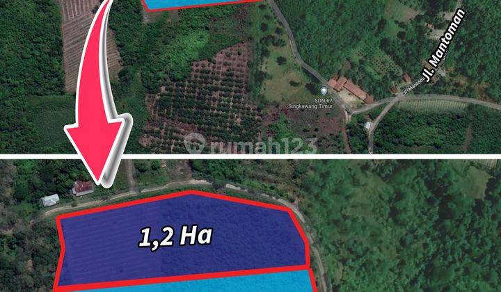 Tanah Luas 27.373 m² di Jl. Mantoman, Singkawang  1