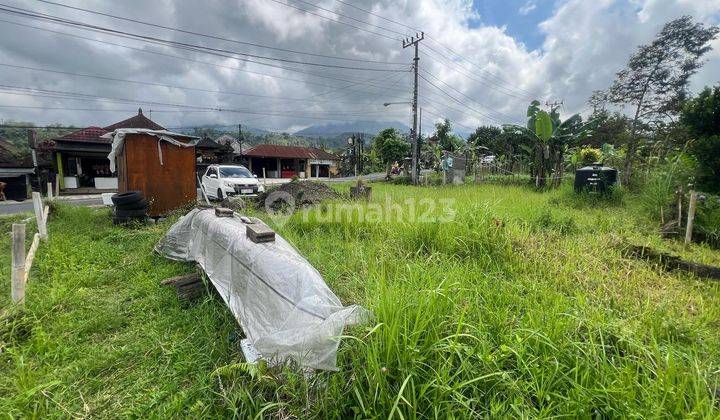 Land for Rent in Baturiti near Bedugul. 300m from House Of Tundra Cafe 5 minutes from Lake Beratan 1