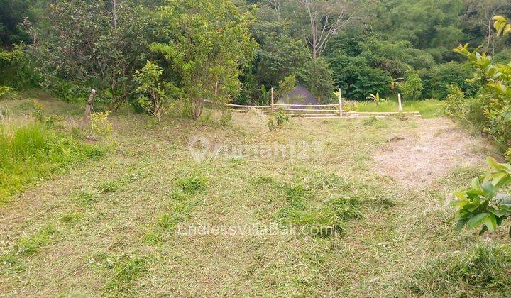 Land Rent Near Bedugul Tanah Dekat Bedugul 1