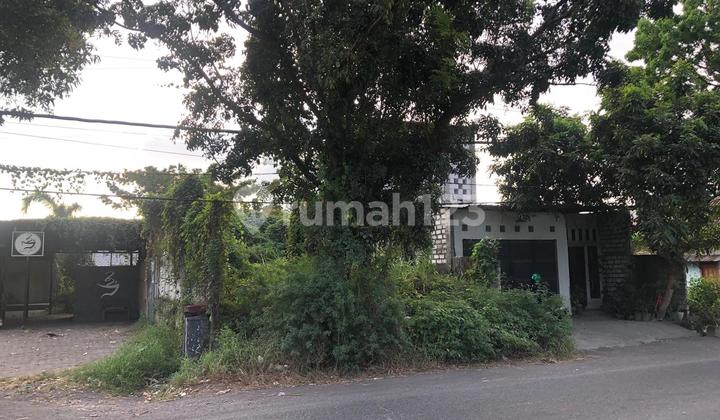 Tanah Shm 118m² Di Pinggir Jalan Cerme - Lokasi Ideal Untuk Usaha! Tanah Shm 118m² Di Pinggir Jalan Cerme - Lokasi Ideal Untuk Usaha!