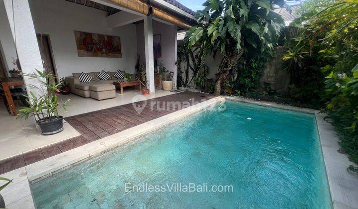 Villa Near Canggu 3rooms 4yr Lease 2