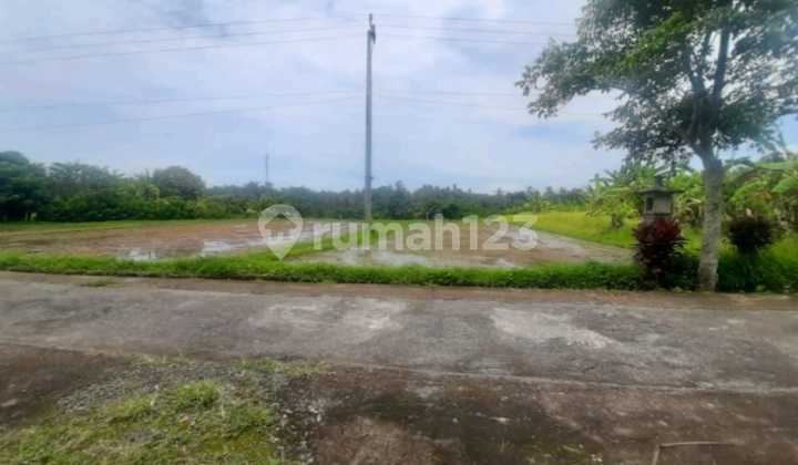 TANAH 106 ARE DI DESA SUKAWATI, TABANAN DI JL. RAYA DENPASAR-GILIMANUK TANAH 106 ARE DI DESA SUKAWATI, TABANAN DI JL. RAYA DENPASAR-GILIMANUK
