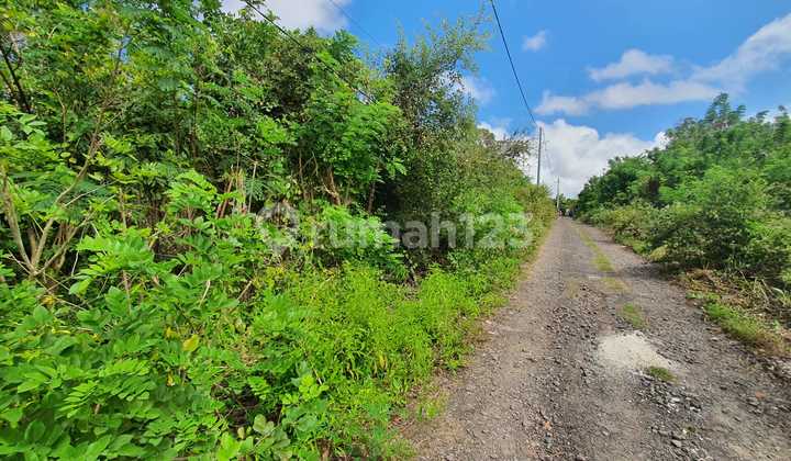 Tanah di Jalan Akses Masuk Project Sol Nusa Dua, Di Sawangan Nusa Dua