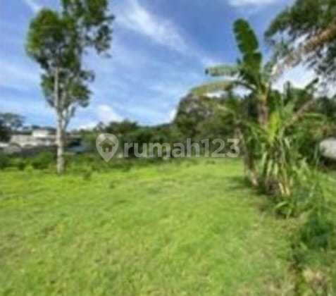 LAND 13.5 ARES IN BATURITI, MOUNTAIN ATMOSPHERE, ONLY 250 M FROM BATURITI MAIN ROAD, BEDUGUL LAND 13.5 ARES IN BATURITI, MOUNTAIN ATMOSPHERE, ONLY 250 M FROM BATURITI MAIN ROAD, BEDUGUL