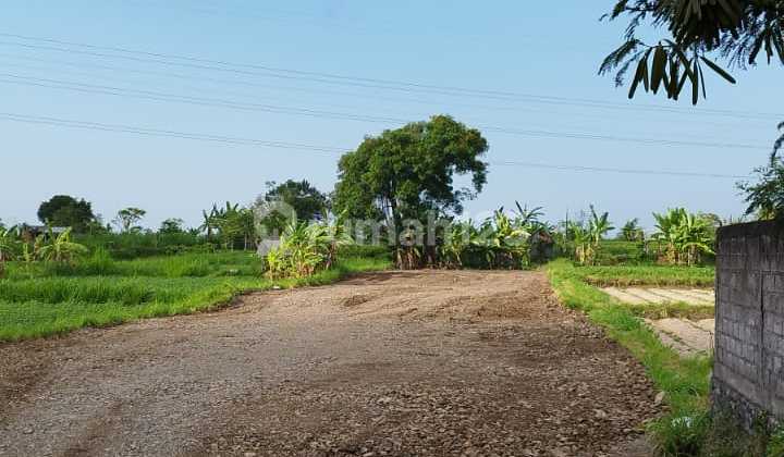 Tanah Siap Bangun 25 Are di Jl. Ida Bagus Mantra, Klungkung Bali