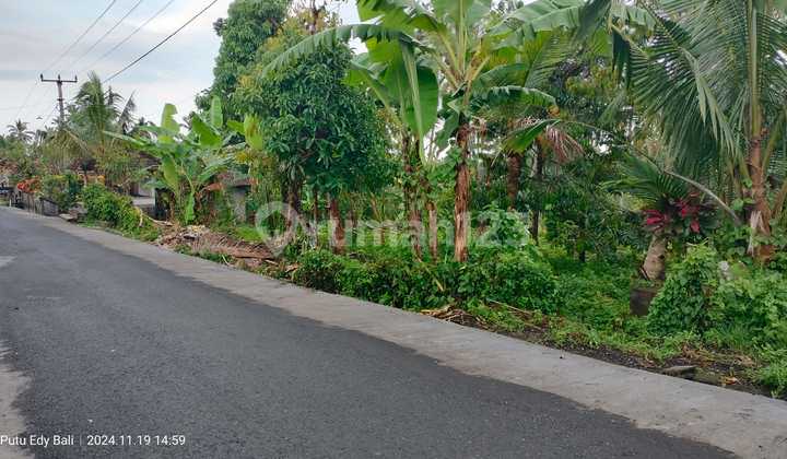 Tanah Kebun 86,5 Are di Pinggir Jalan Pesagi Rejasa, Penebel, Tabanan