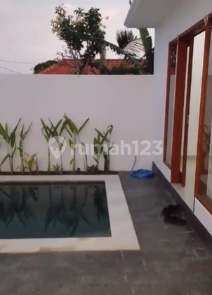 New Villa At Umalas, 10 Minutes to Batu Belig Beach New Villa At Umalas, 10 Minutes to Batu Belig Beach