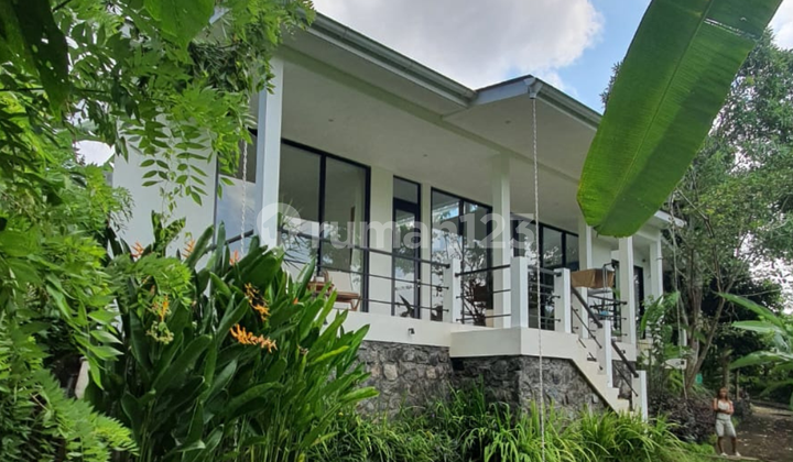 Special Villa in an Eco-Living Residential Area in Ubud, Bali Special Villa in an Eco-Living Residential Area in Ubud, Bali