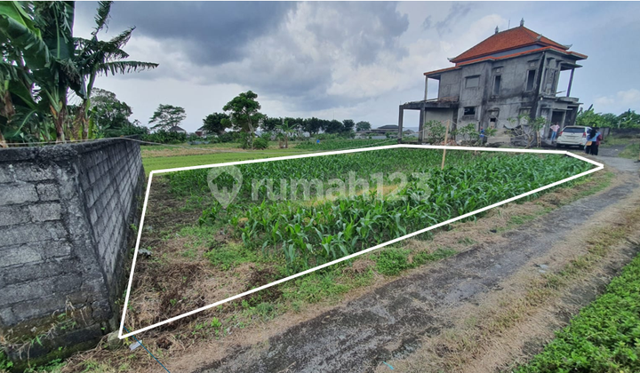 Peaceful Paradise: Ready-to-Build Land Near the Beach With Green Rice Field Views, Rural Atmosphere, and Open Sea