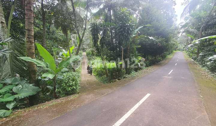 Tanah 40 Are Untuk Villa di Kemetug, Kawasan Wisata Alam Gunung Salak, Tabanan