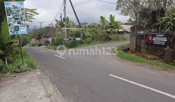 LAND 49.85 ARE IN ANGSERI BATURITI, INCLUDING HOT SPRINGS & RIVER LAND 49.85 ARE IN ANGSERI BATURITI, INCLUDING HOT SPRINGS & RIVER