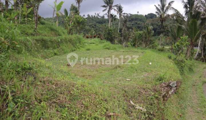 LAND 49.85 ARE IN ANGSERI BATURITI, INCLUDING HOT SPRINGS & RIVER LAND 49.85 ARE IN ANGSERI BATURITI, INCLUDING HOT SPRINGS & RIVER