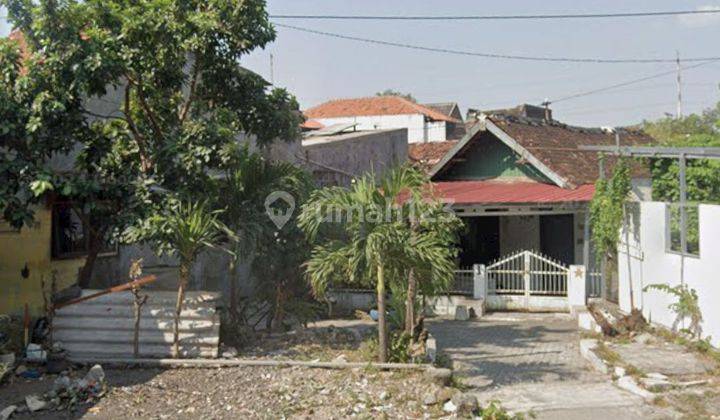 Di Jual Rumah Lama Hitung Tanah Di Pusponjolo Selatan Semarang Barat  2