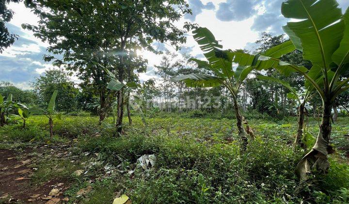 di jual tanah di tembalang bulusan Semarang atas dekat Undip  2