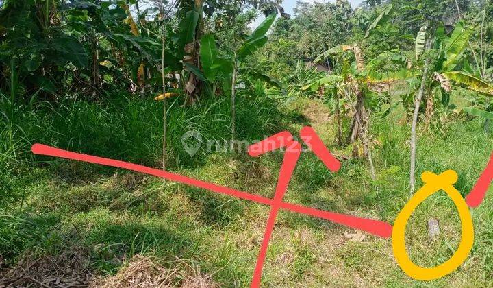 Di jual murah di bawah njop tanah di ungaran timur  2