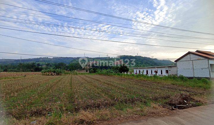 Di Jual Tanah Di Batang Grinsing Deket Kawasan Industri  1