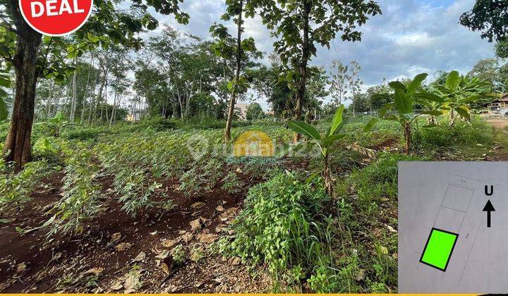 di jual tanah di tembalang bulusan Semarang atas dekat Undip  1