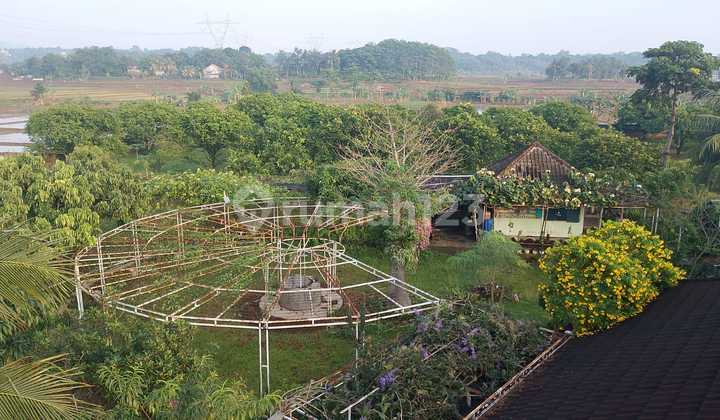 For Sale: Plantation Land and Villa in Bogor