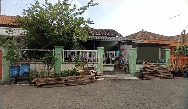 di jual tanah ada rumah lama nya di pusponjolo tengah Semarang barat  1