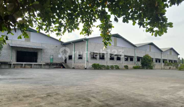 For Sale Active Wood Processing Factory For Sale Active Wood Processing Factory