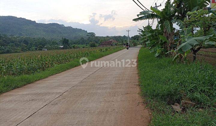 Di Jual Tanah Di Batang Grinsing Deket Kawasan Industri  2