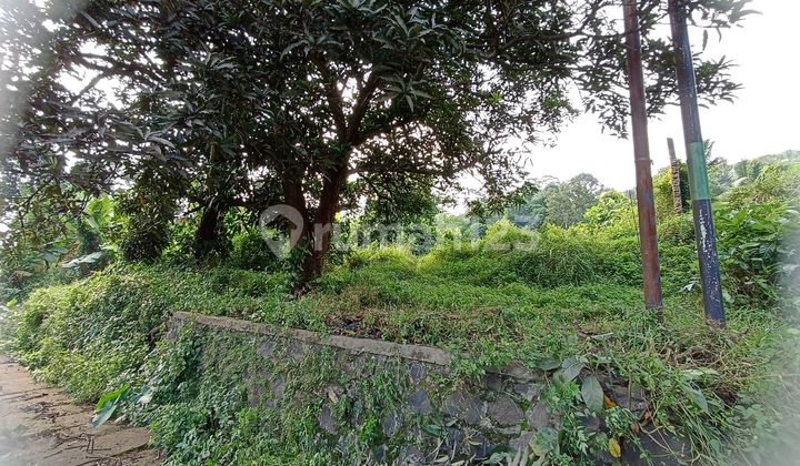 Di Jual Tanah Di Batang Deket Kitb  1