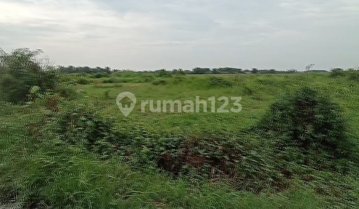 Di Jual Tanah Di Arteri Weleri Deket Kawasan Industri Batang 