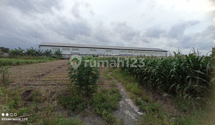 Land for Rent on Kaliwungu Arterial Road