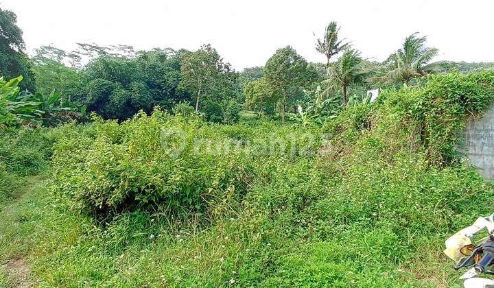 Di Jual Tanah Di Batang Deket Kitb  2