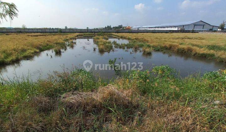 di jual tanah di Kendal dekat Kawasan industri kendal 2