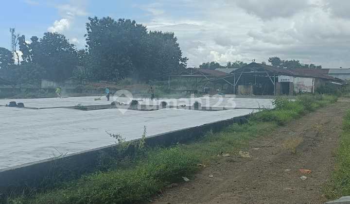 Land for Sale in Pati, Tayu, Margoyoso, Ngempal