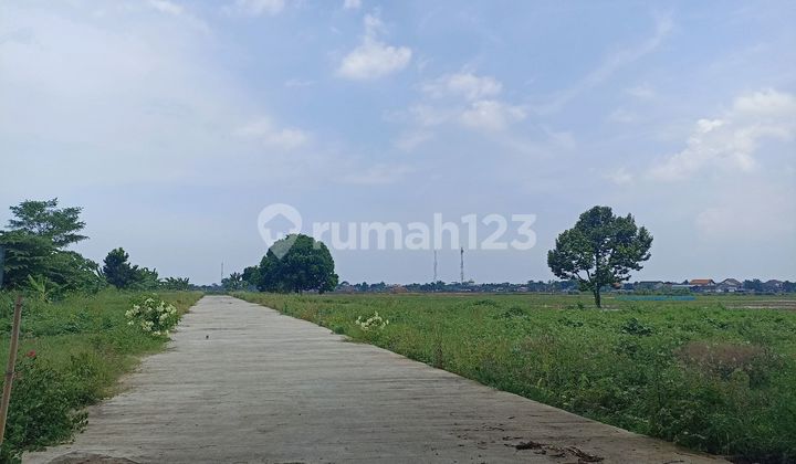 Land for Sale in Weleri, Near State School, Near City Park