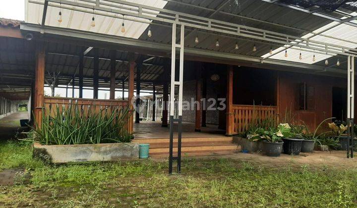 Di Jual Tanah Ada Pemancingan Ada Pendopo Di Jenar Sari Weleri Kendal  2