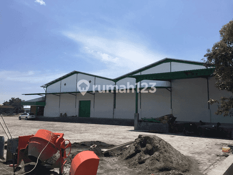 Gudang Tambak Sawah Sidoarjo 1