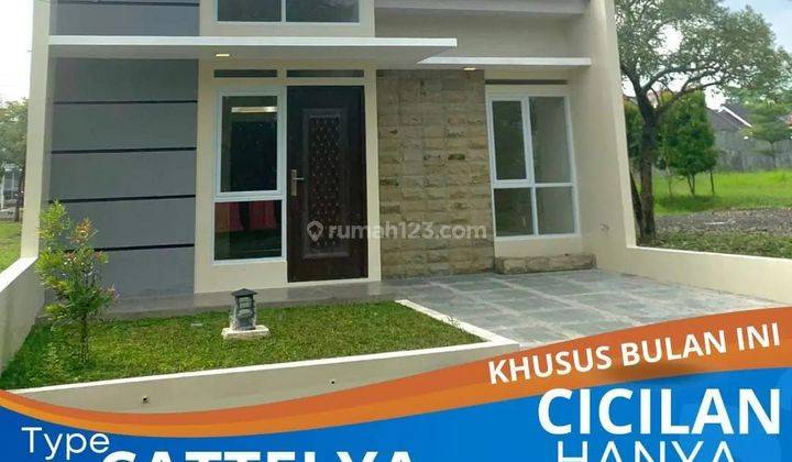 Rumah Komersil Murah Cluster Catellya Adora Residence Cirebon 1