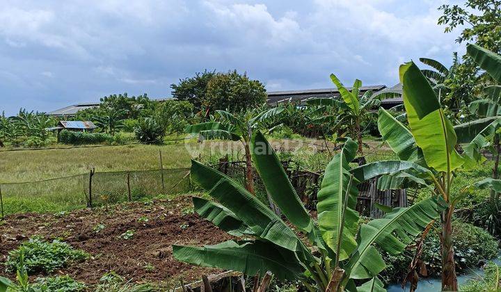 Dijual tanah industri 11
