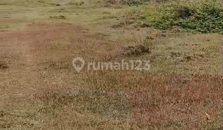 Dijual Kavling Tanah Pergudangan Laksana Pakuhaji Tangerang Dijual Kavling Tanah Pergudangan Laksana Pakuhaji Tangerang