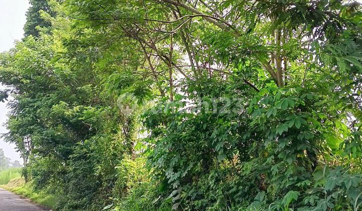 Murah Tanah Luas Dekat Perum Elite Araya Malang Siap Bangun