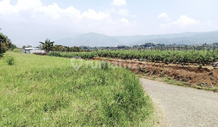 Cheap Large Land in Batu Tourist City Near Tourist Attractions Cheap Large Land in Batu Tourist City Near Tourist Attractions