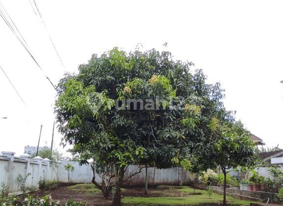 Strategic Zero Main Road Lawang Spacious House with Bird's Nest Bonus 2