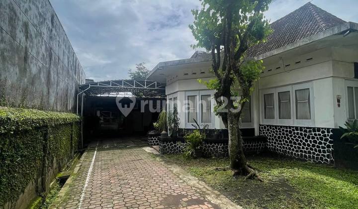 Rare Original Dutch Colonial House in Ijen Boulevard Malang Area 2