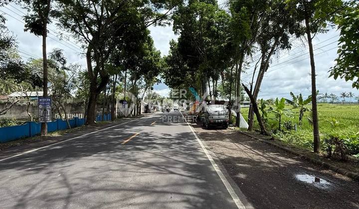 Cheap Land Large Zero Main Road Kepanjen Ready to Build Strategic Cheap Land Large Zero Main Road Kepanjen Ready to Build Strategic