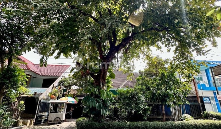 Langka Rumah Vintage Tengah Kota Dekat Ijen Boulevard Siap Huni Langka Rumah Vintage Tengah Kota Dekat Ijen Boulevard Siap Huni