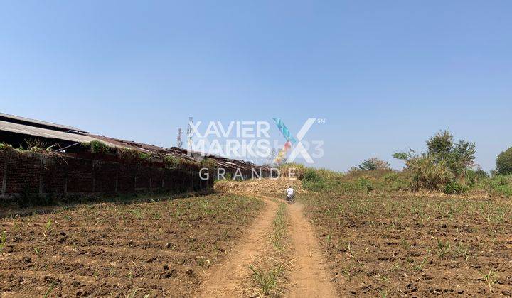 Dijual Tanah Super Luas + Bangunan Gudang di Area Bandulan, Malang 1