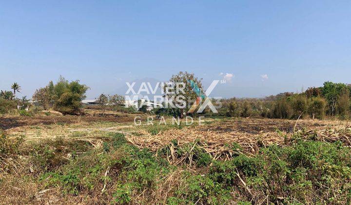 Dijual Tanah Super Luas + Bangunan Gudang di Area Bandulan, Malang 2