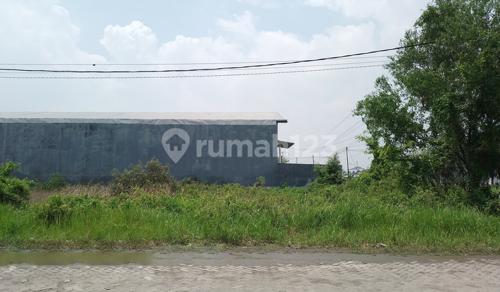 Murah Tanah Kavling Jalan Utama Raya Pergudangan Bumi Maspion Romokalisari Benowo Surabaya Murah Tanah Kavling Jalan Utama Raya Pergudangan Bumi Maspion Romokalisari Benowo Surabaya